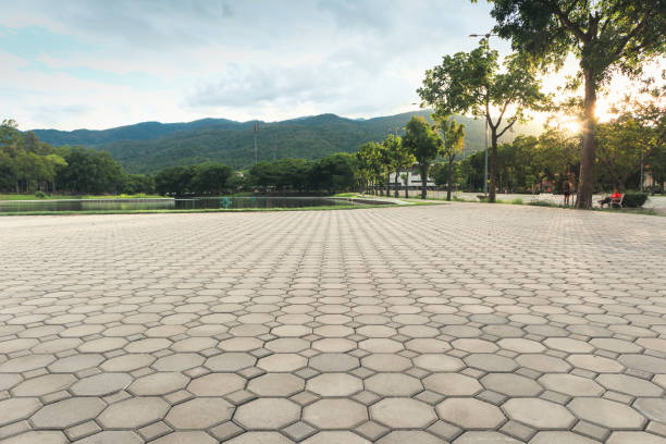 Paver Driveway Replacement in Lauderdale Lakes, WI